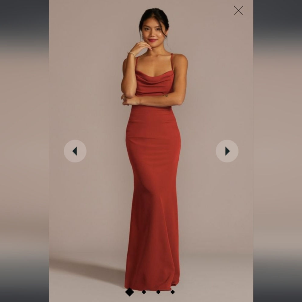 Davids Bridal- Cinnamon bridesmaids dress